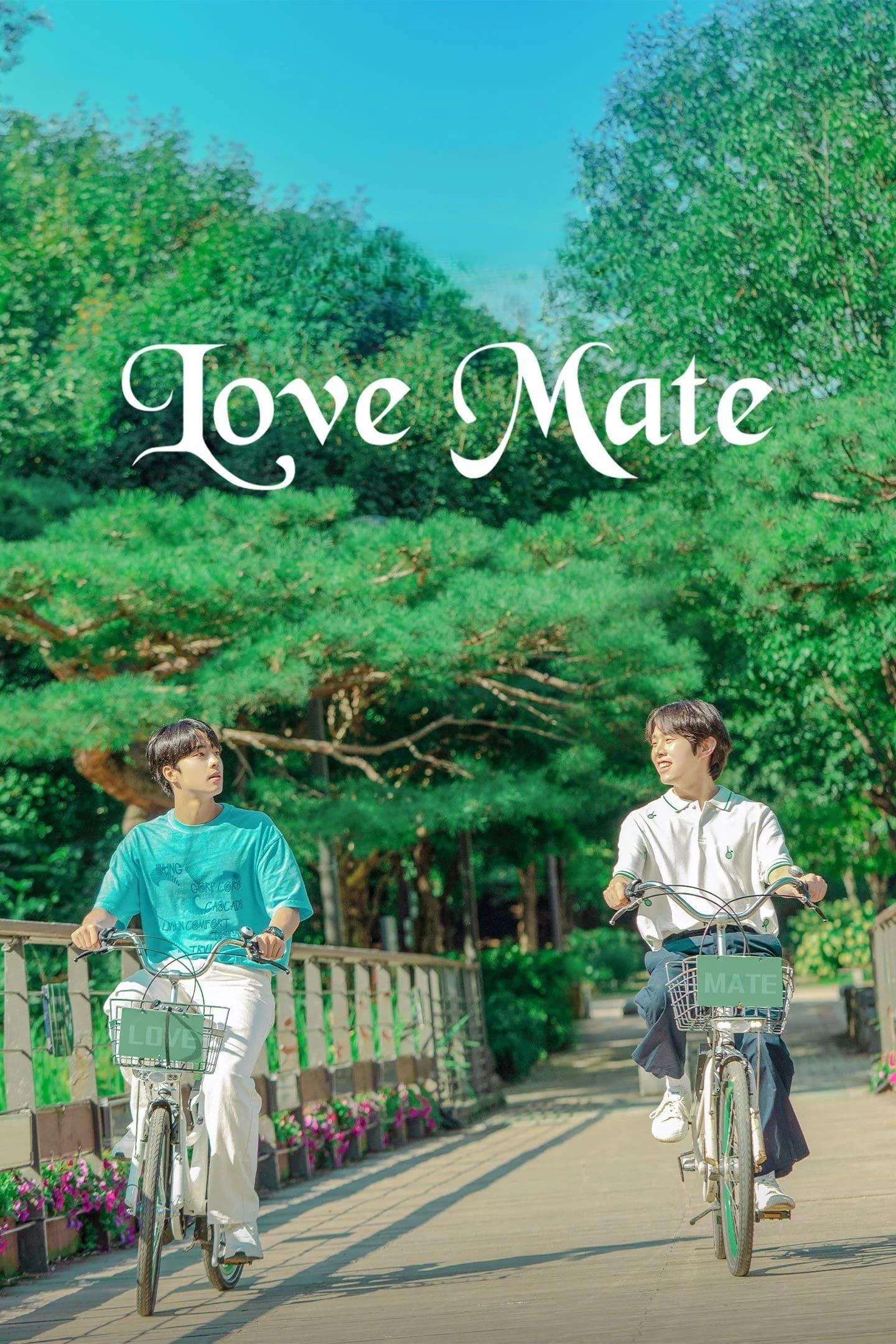 Love Mate poster