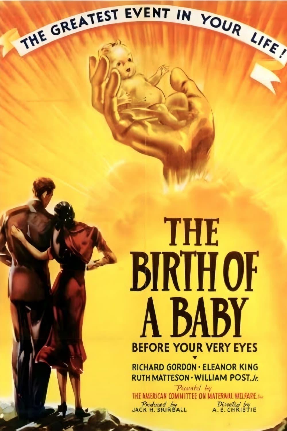 The Birth of a Baby poster