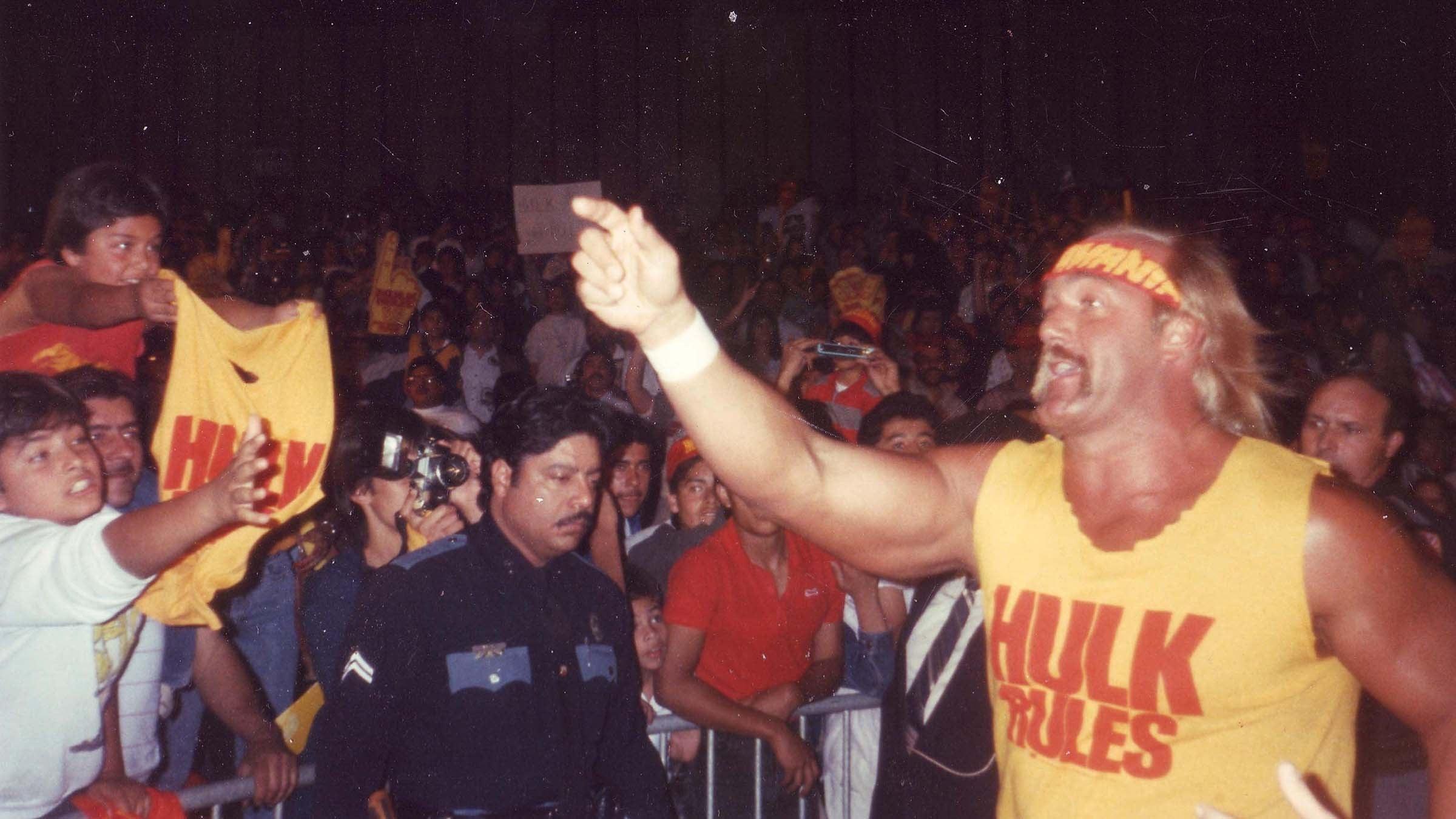 WWE: Hulk Hogan: The Ultimate Anthology backdrop