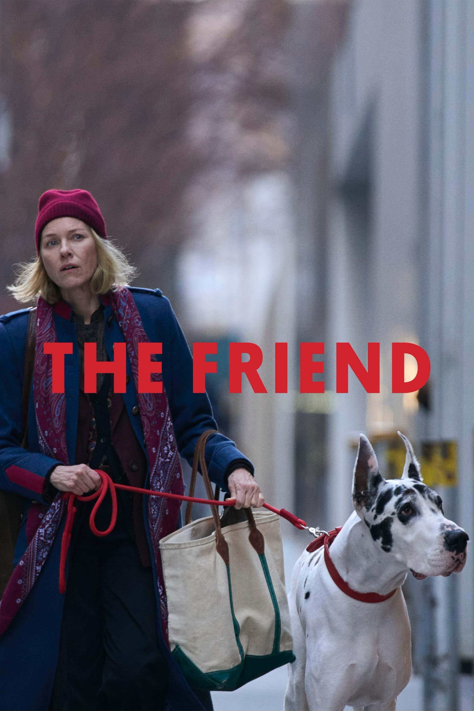 The Friend poster