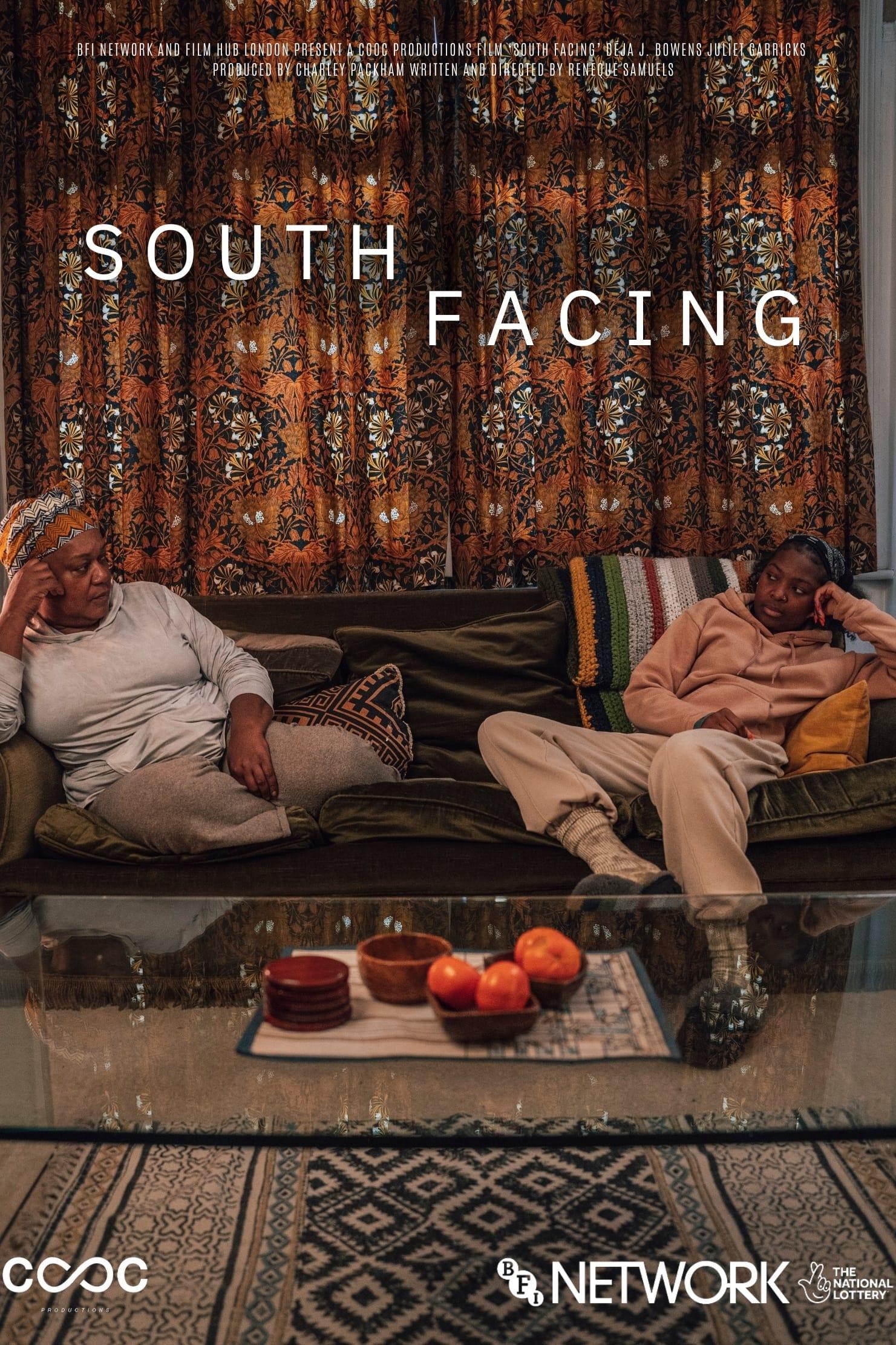 South Facing poster