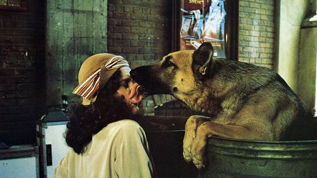 Won Ton Ton: The Dog Who Saved Hollywood backdrop