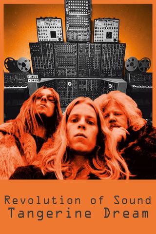 Revolution of Sound - Tangerine Dream poster