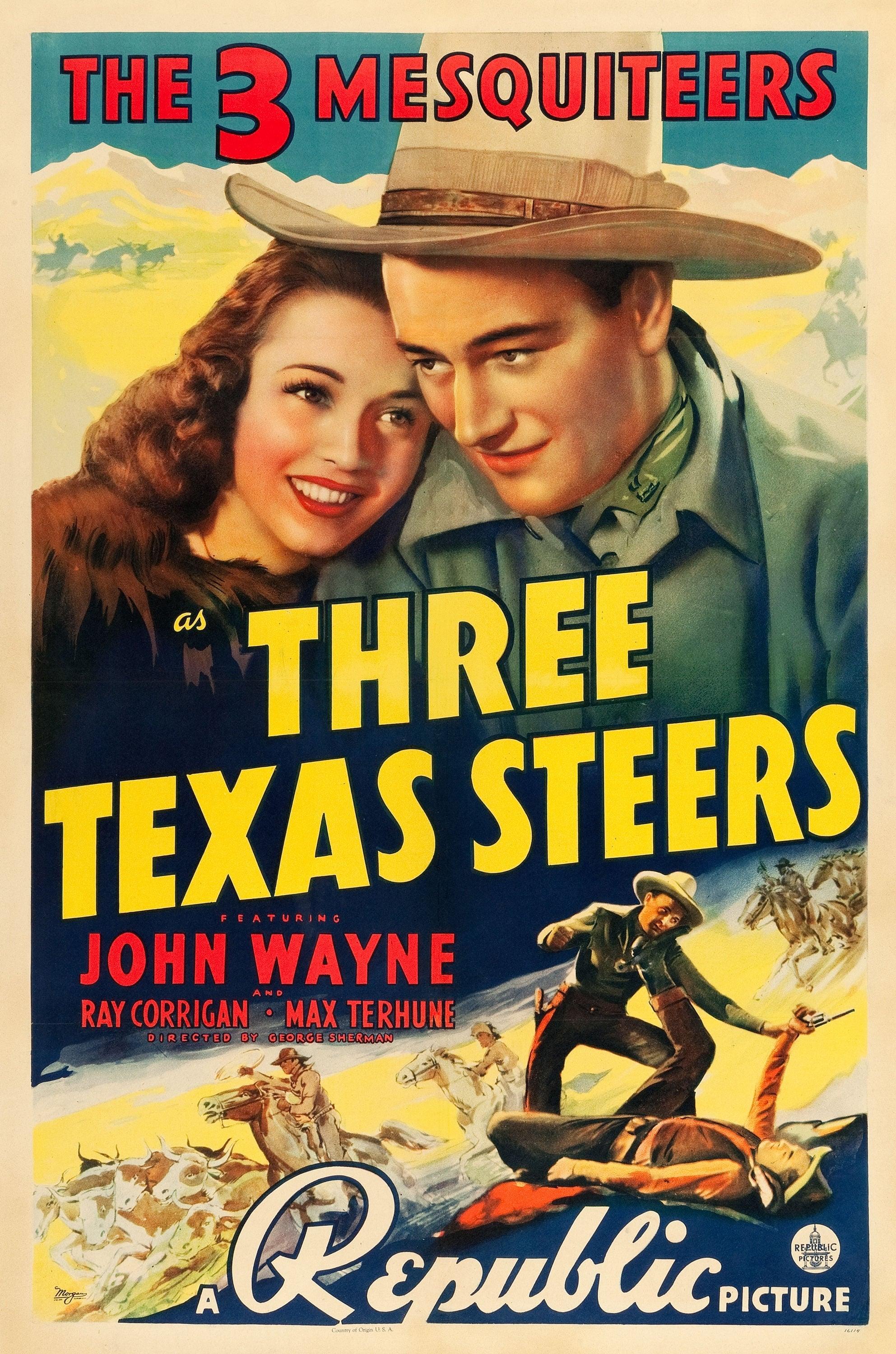 Three Texas Steers poster