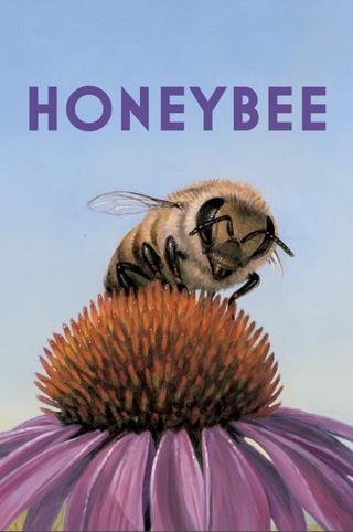 Honeybee poster