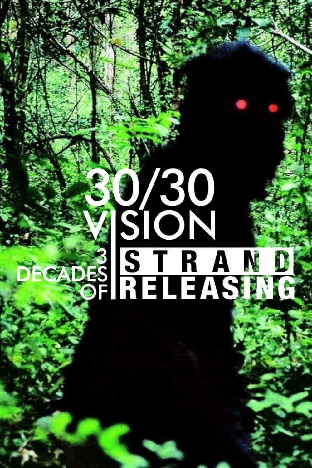 30/30 Vision: Three Decades of Strand Releasing poster