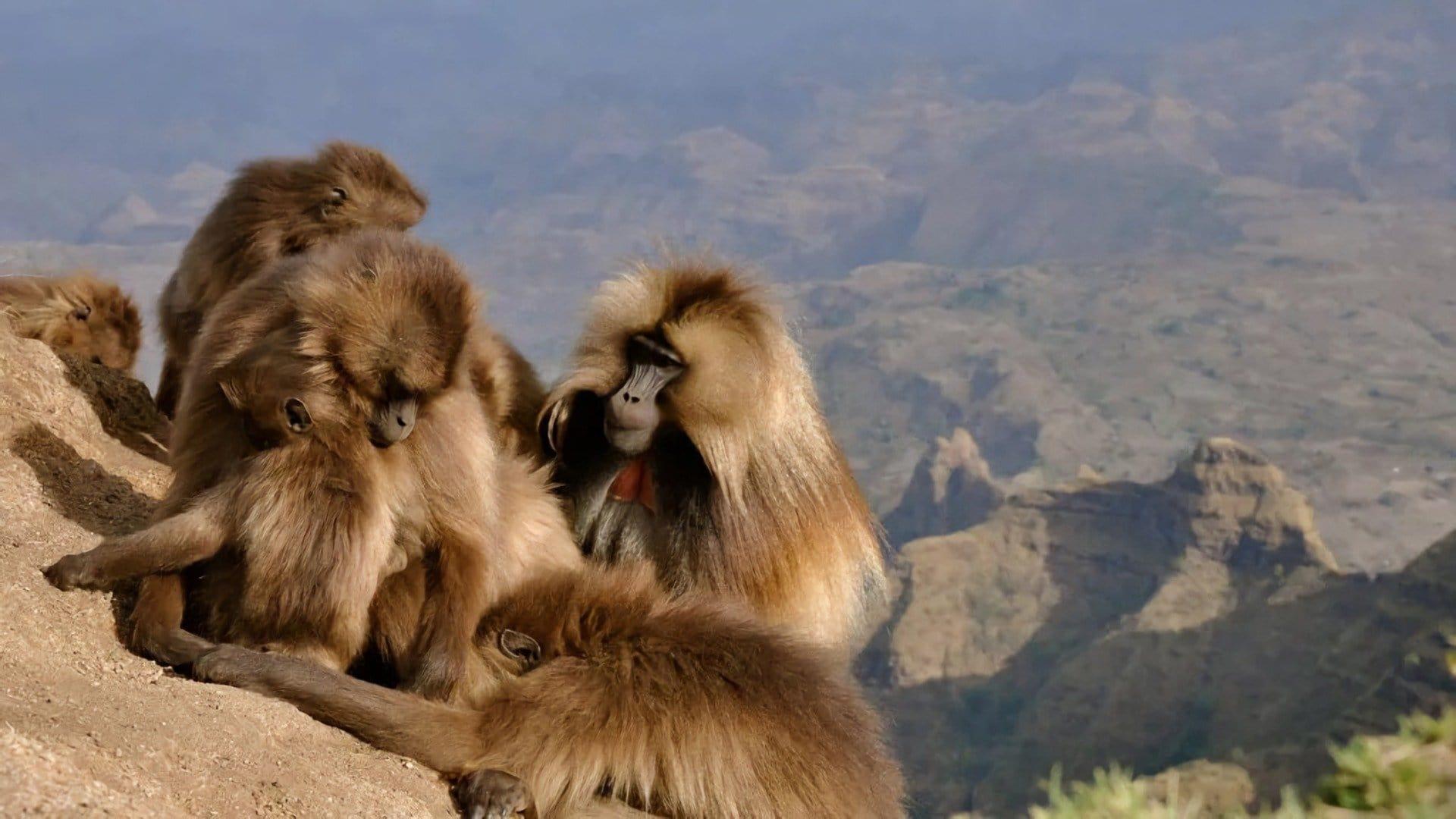 Africa's Hidden Wonders backdrop