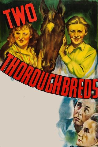 Two Thoroughbreds poster