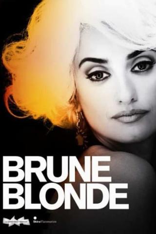 Brunes et Blondes poster