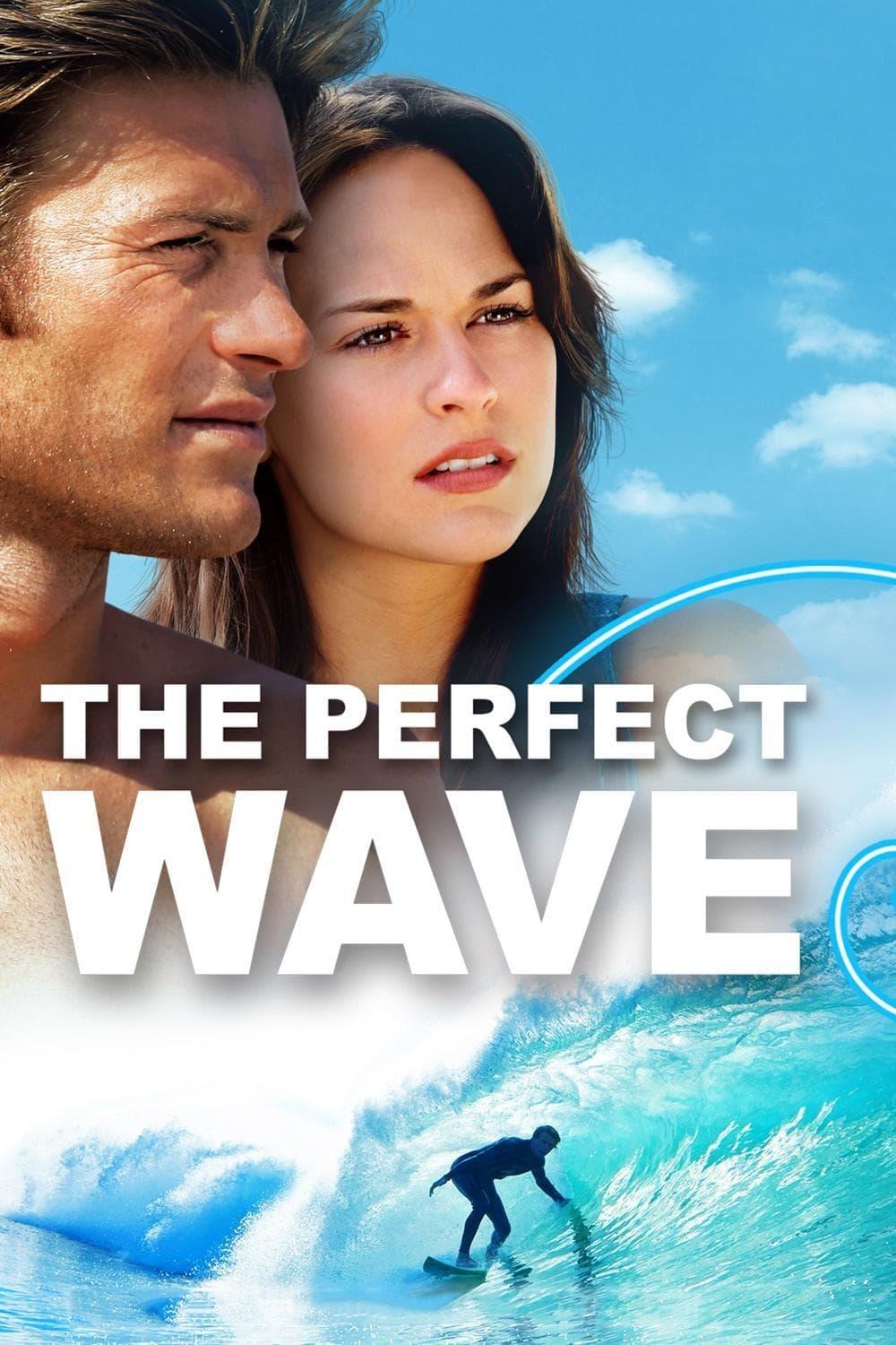 The Perfect Wave poster