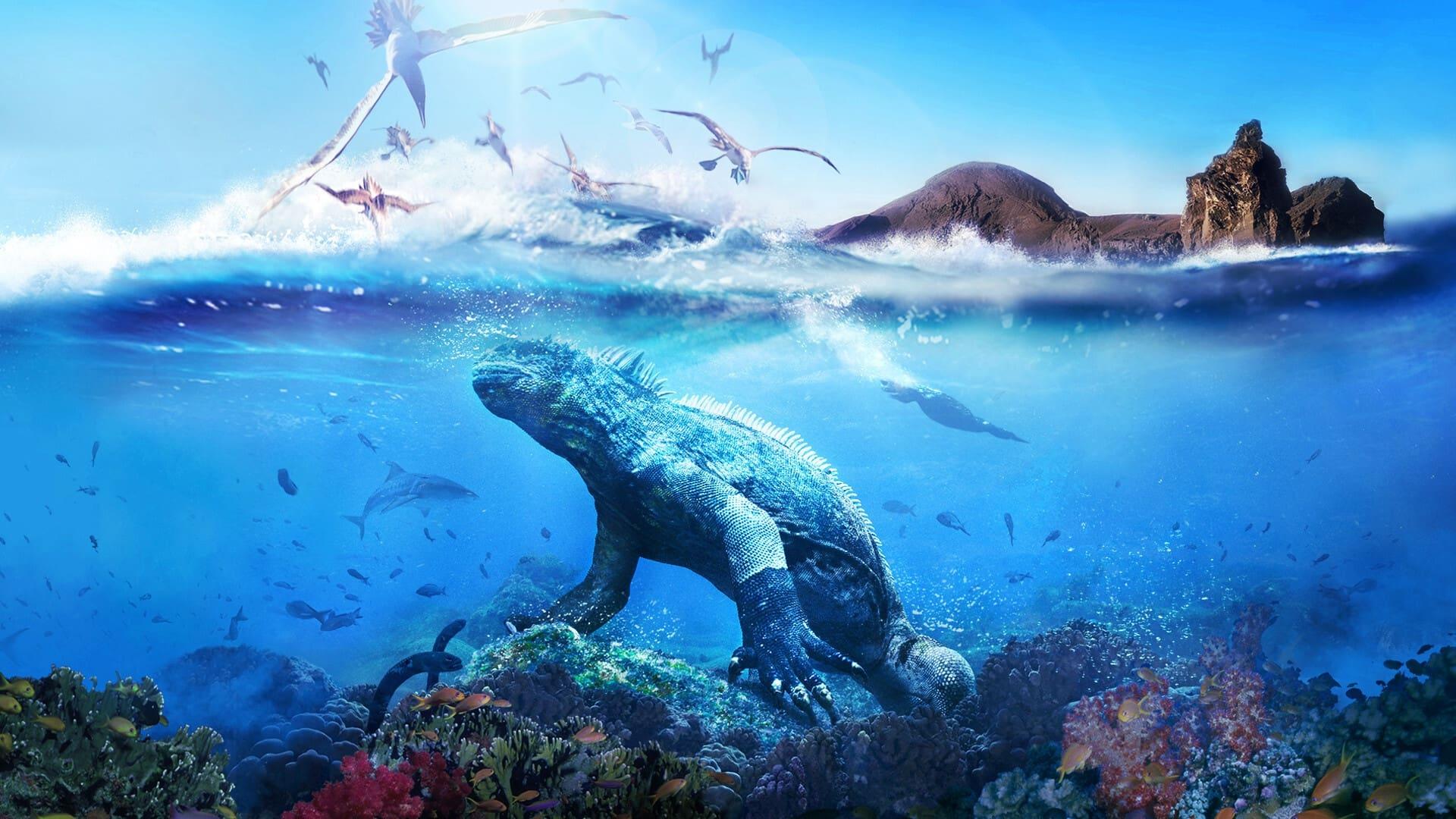 Galapagos backdrop