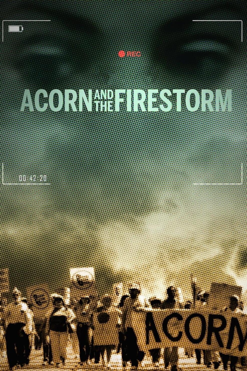 Acorn and the Firestorm poster