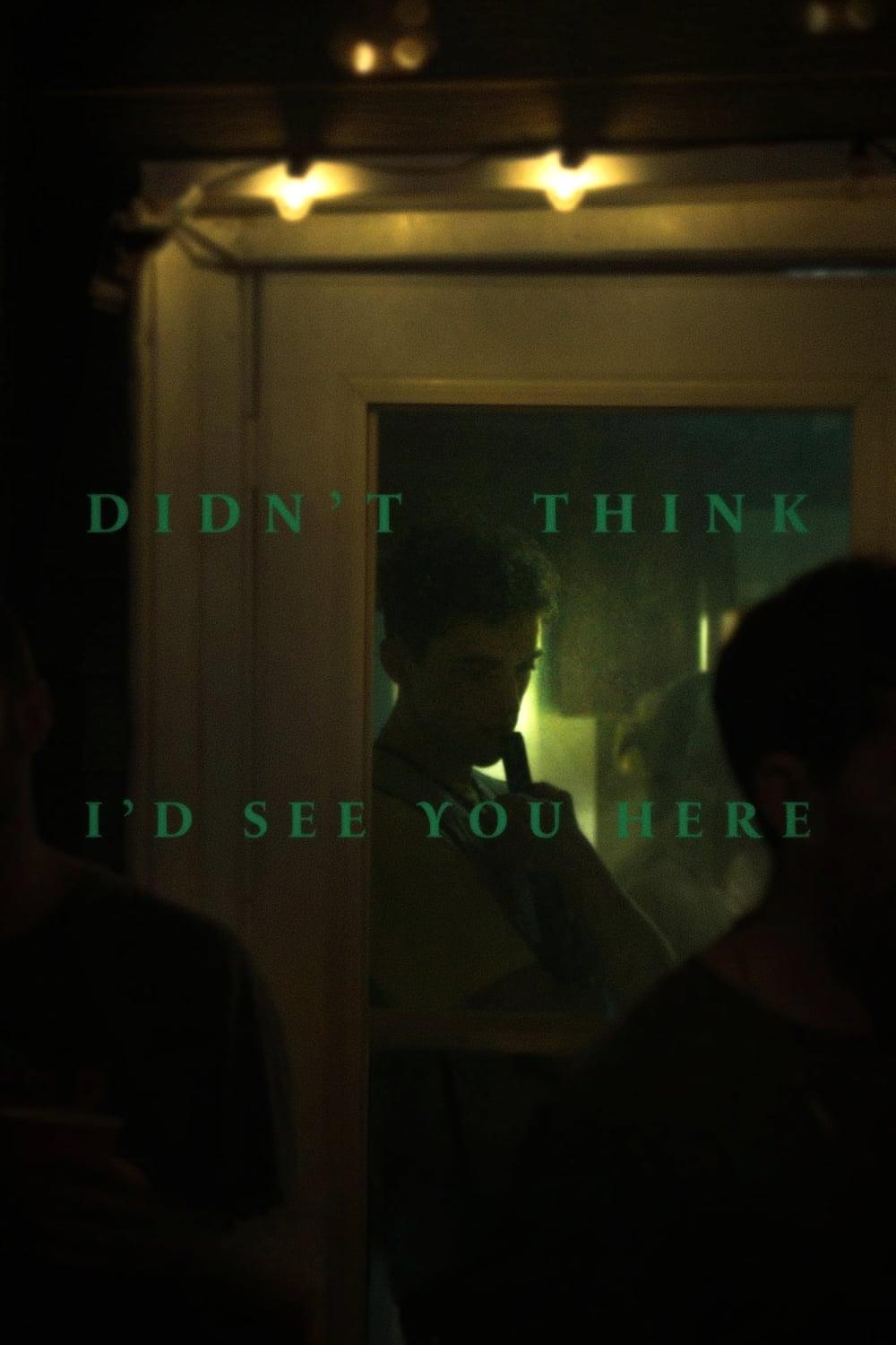 Didn't Think I'd See You Here poster