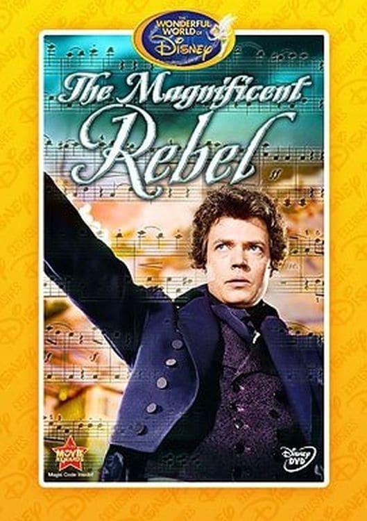 The Magnificent Rebel poster