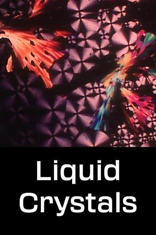 Liquid Crystals poster