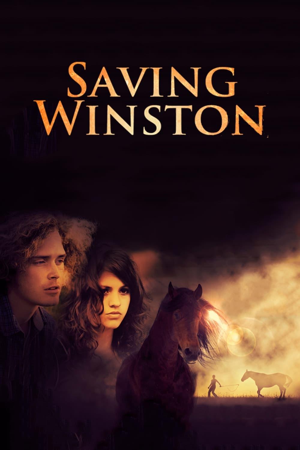 Saving Winston poster