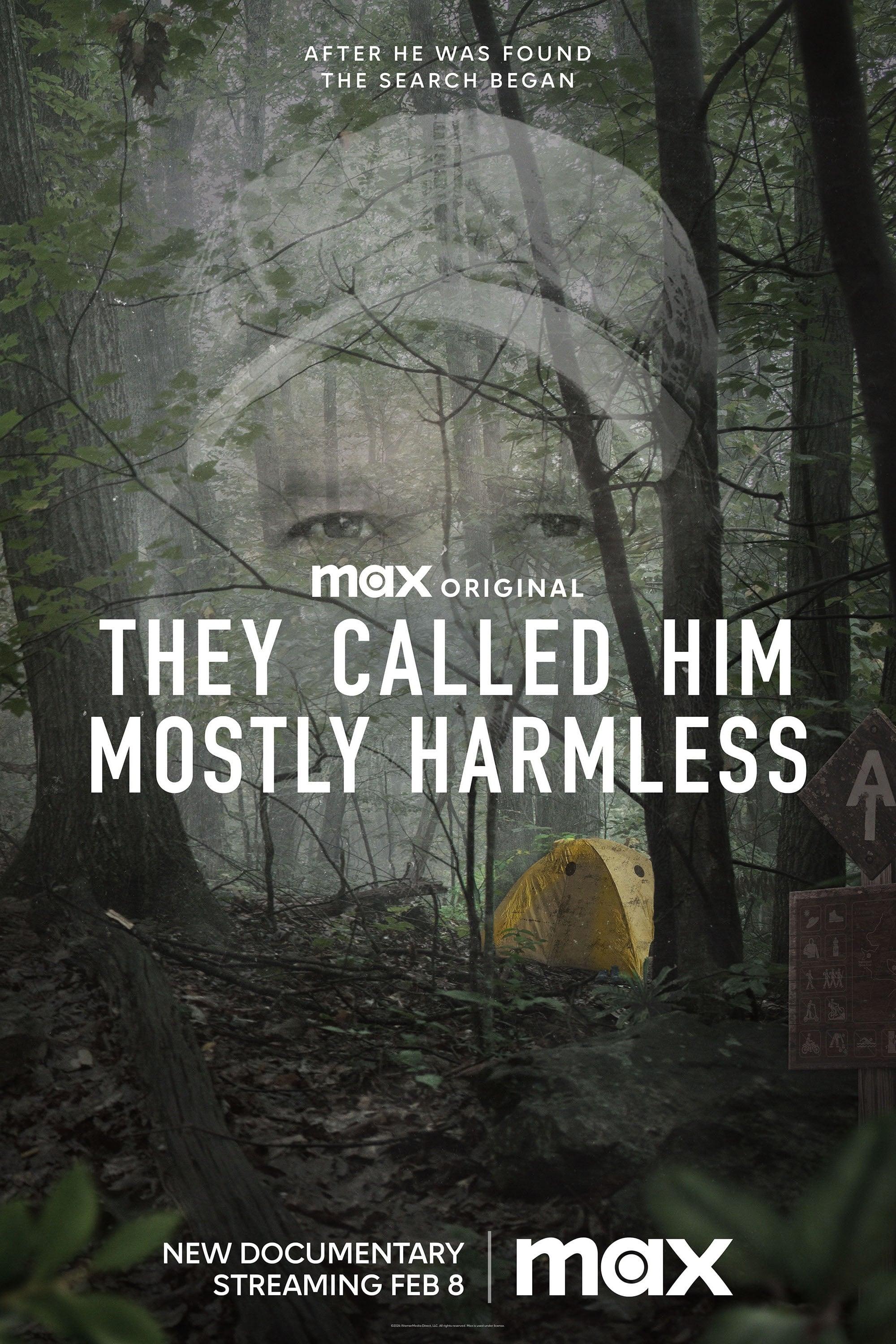 They Called Him Mostly Harmless poster