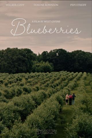 Blueberries poster