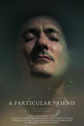 A Particular Friend poster