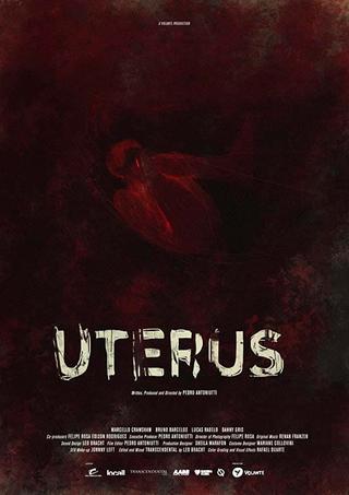Uterus poster