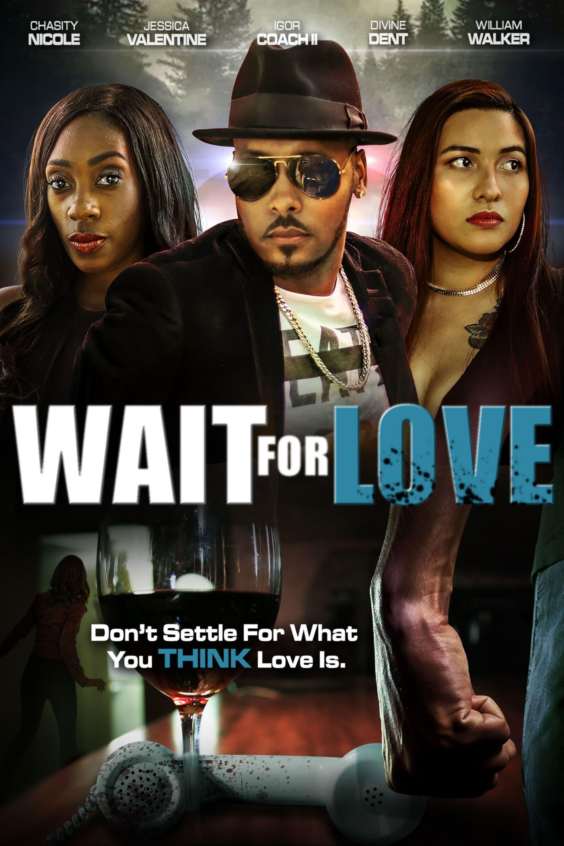 Wait for Love poster