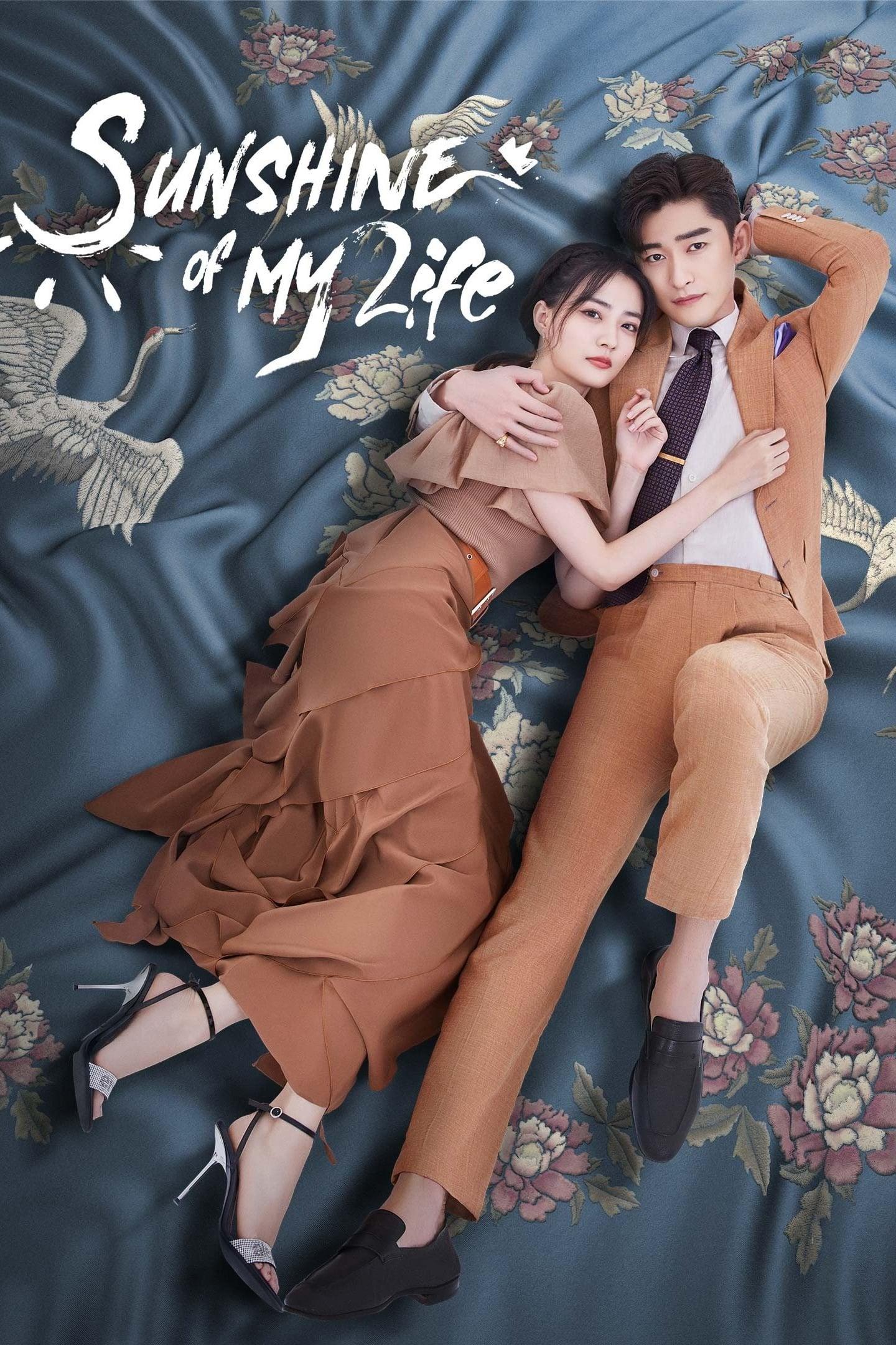 Sunshine of My Life poster