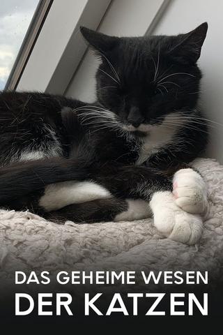 Das geheime Wesen der Katzen poster