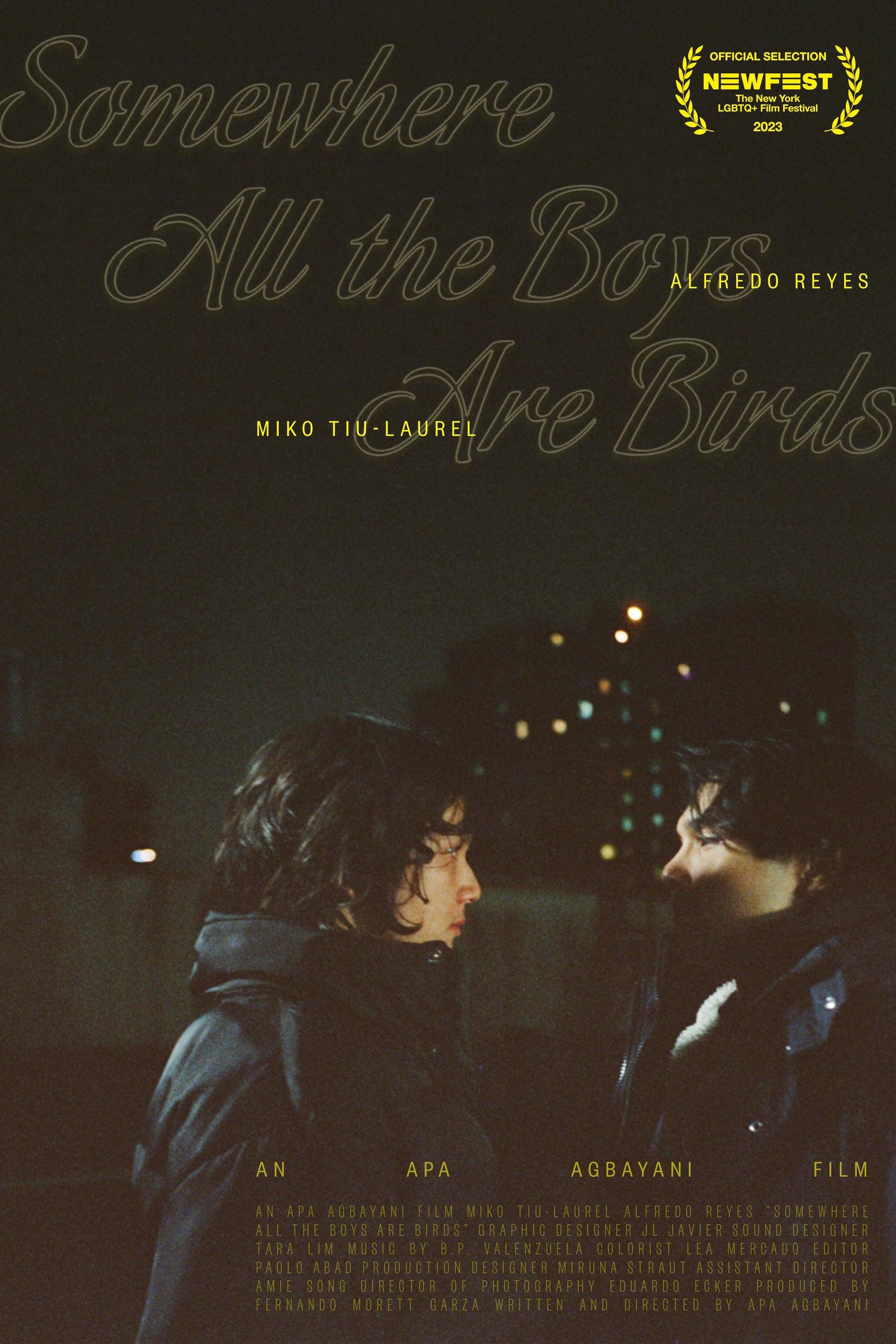 Somewhere All the Boys Are Birds poster