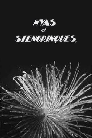 Hyas and Stenorhynchus poster