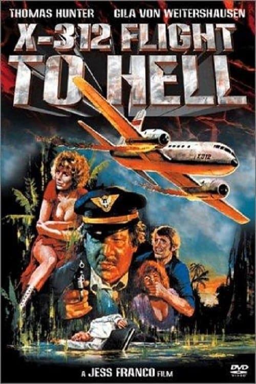 X312 - Flight to Hell poster