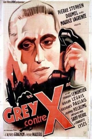 Grey contre X poster
