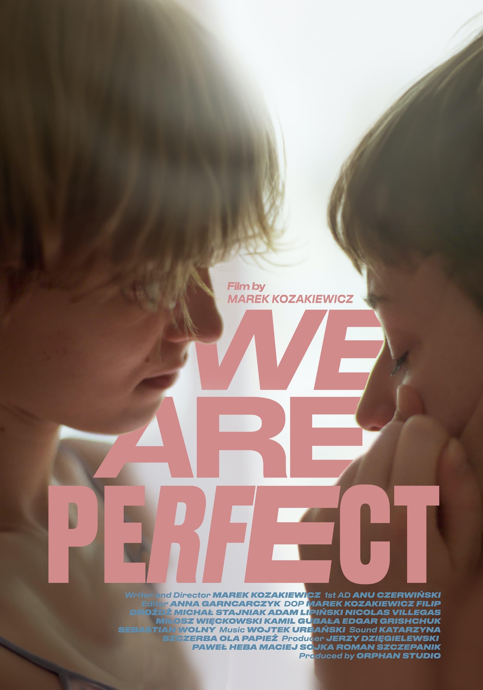 We Are Perfect poster