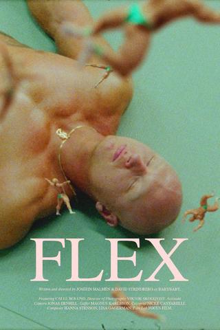 Flex poster