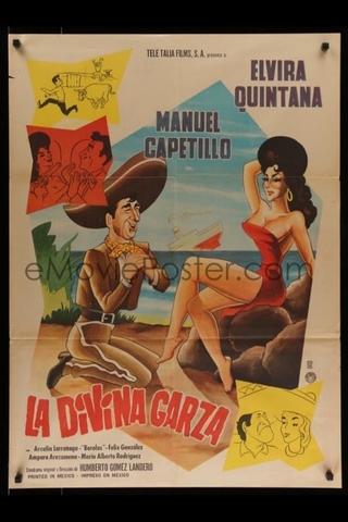 La divina garza poster