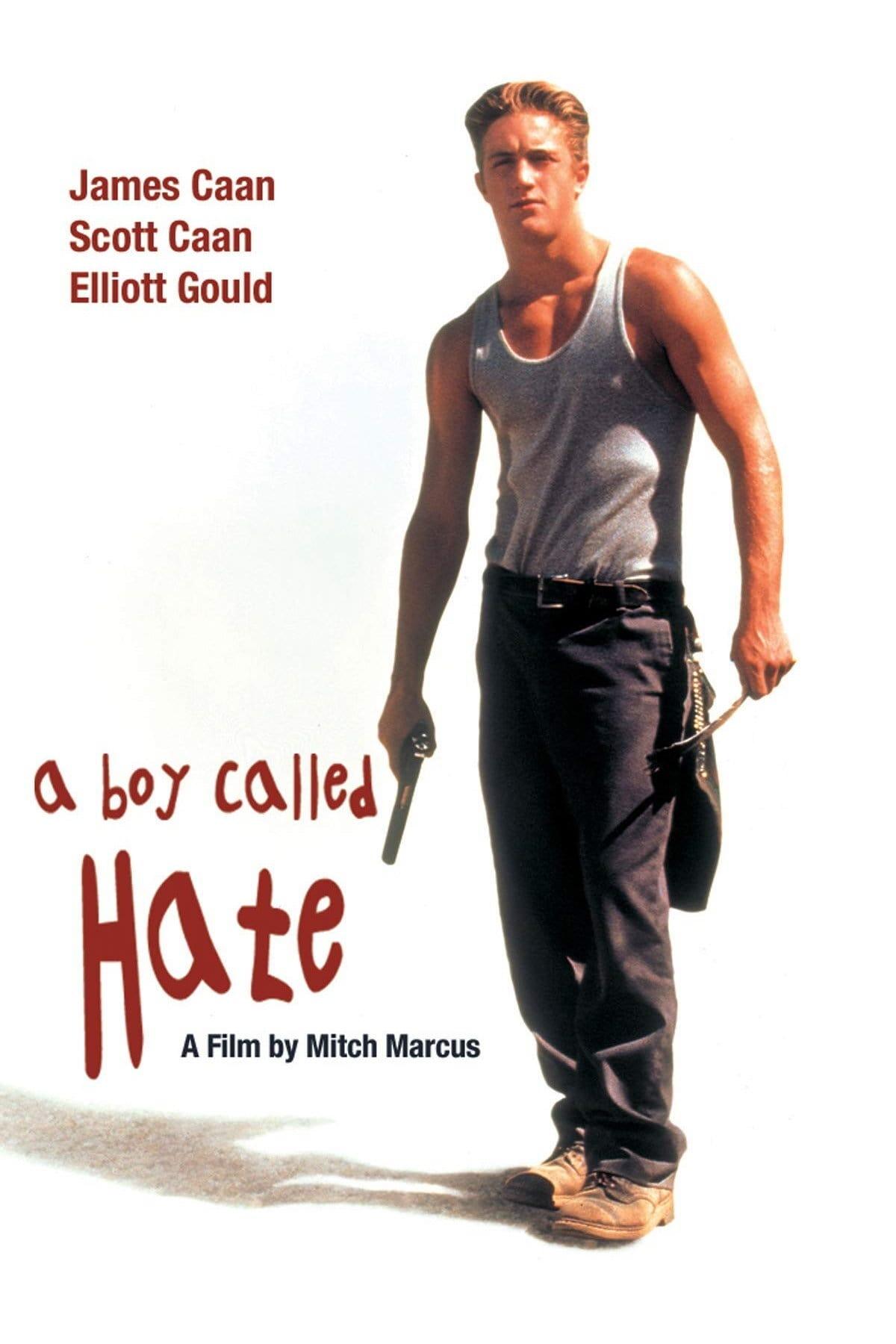 A Boy Called Hate poster
