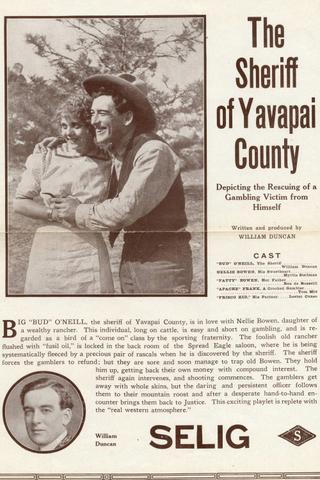 The Sheriff of Yavapai County poster