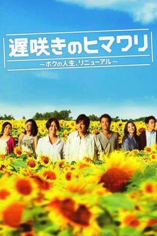 Late Blooming Sunflower My Life Renewed poster