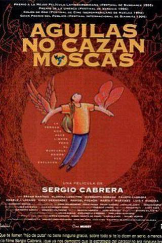 Águilas no cazan moscas poster