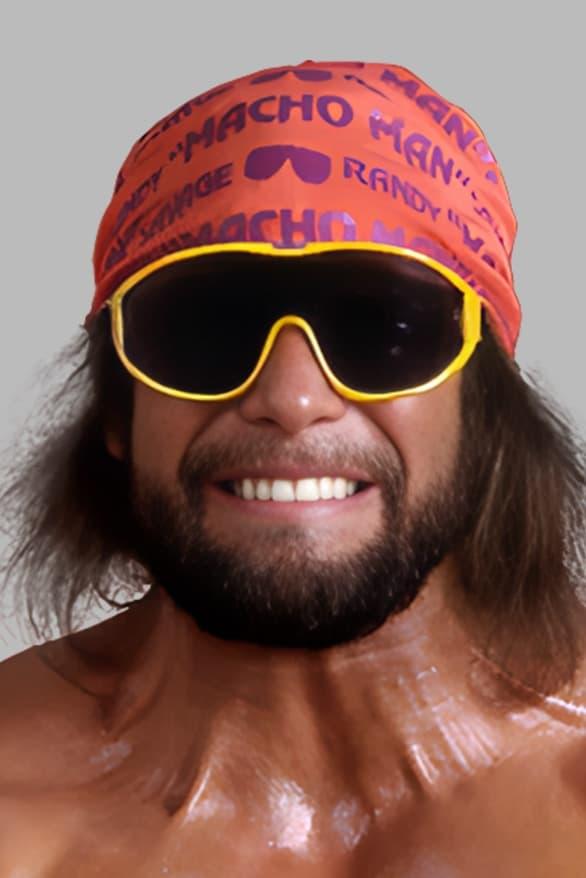 Randy Poffo poster