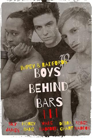 Boys Behind Bars 3 poster