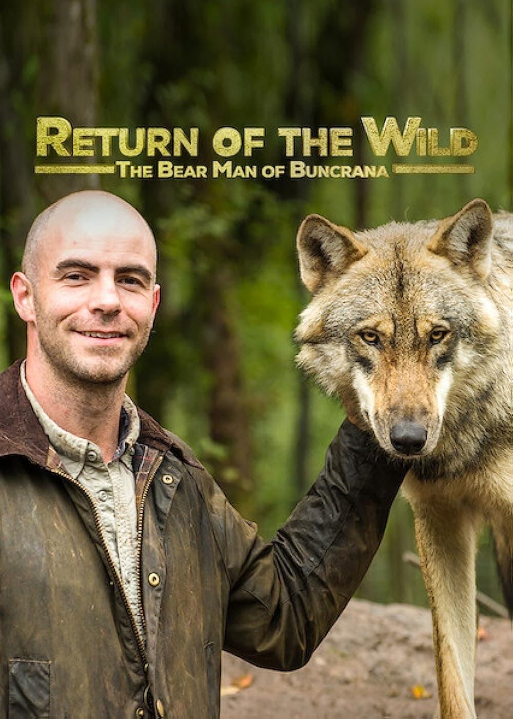 Return of the Wild: The Bearman of Buncrana poster