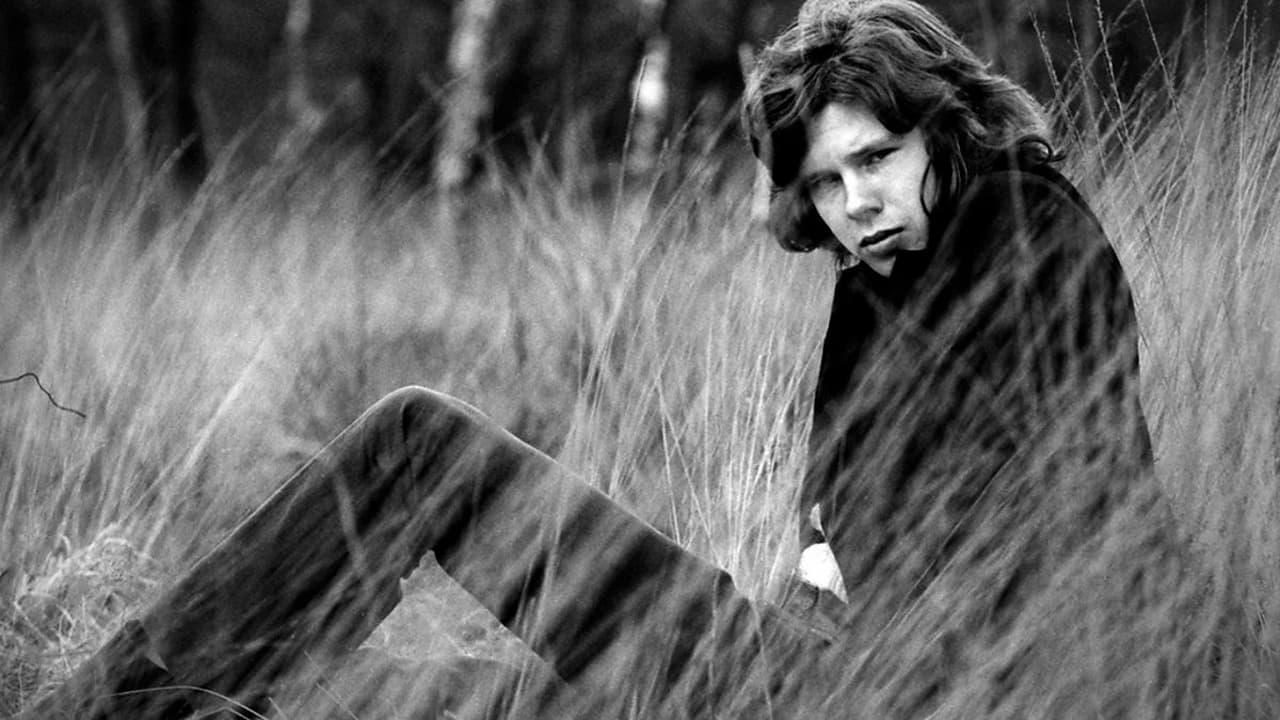 A Skin Too Few: The Days of Nick Drake backdrop