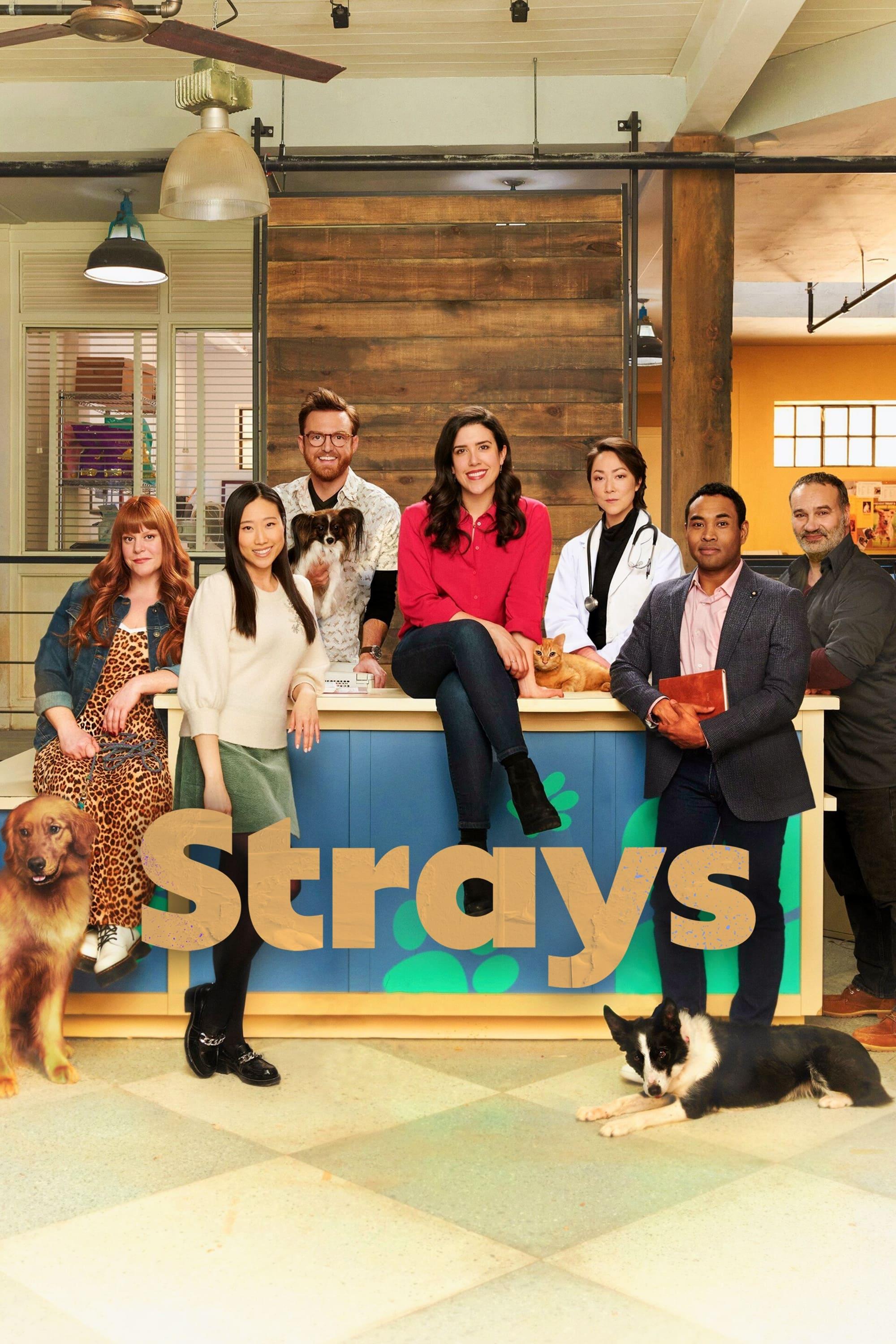 Strays poster