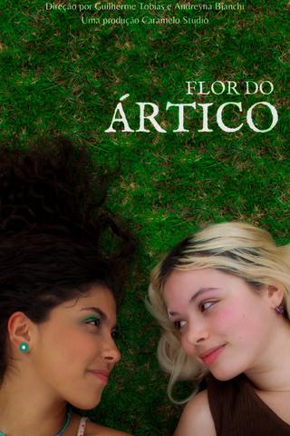 Flor do Ártico poster