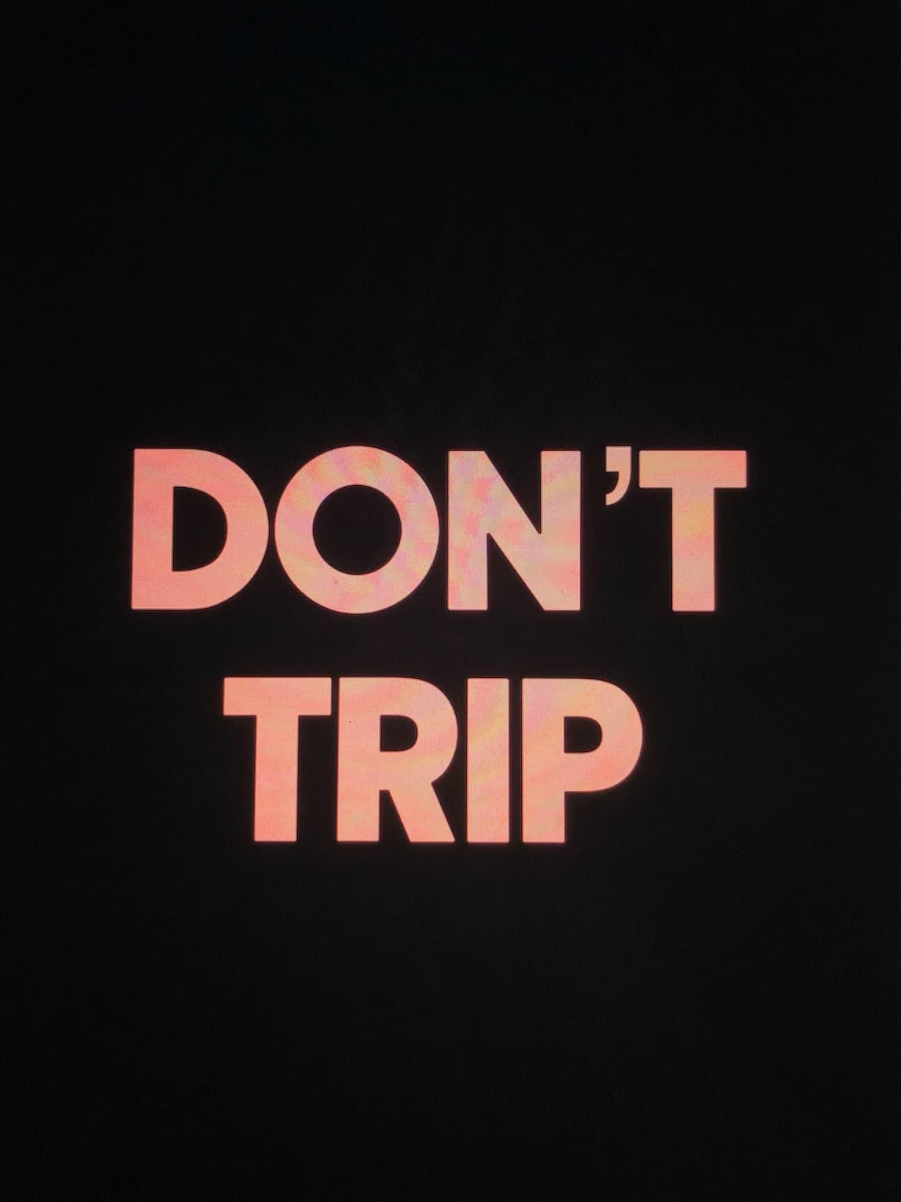 Don't Trip poster