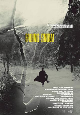 Fading Snow poster