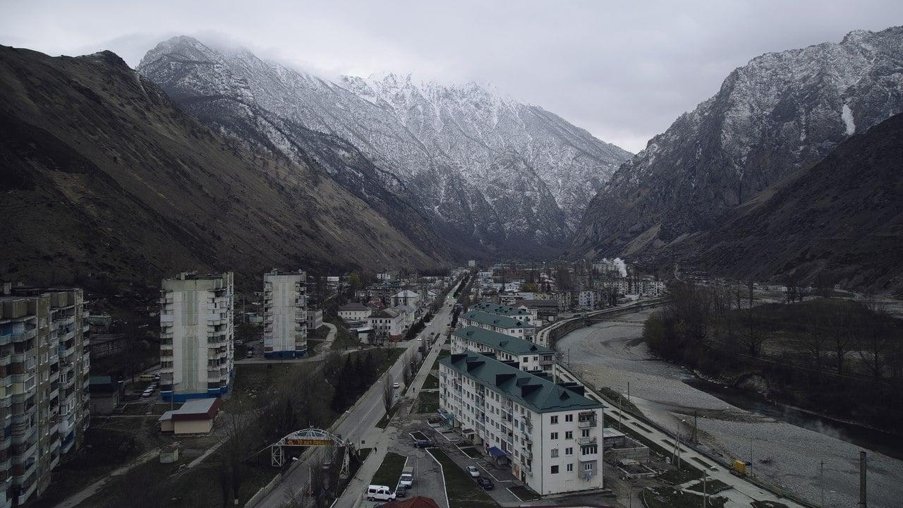 Madina Dokshukina backdrop