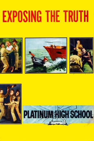 Platinum High School poster