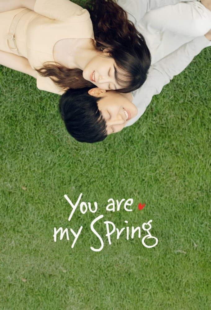 You Are My Spring poster