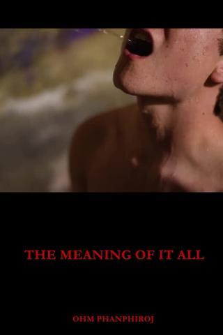 The Meaning of It All poster